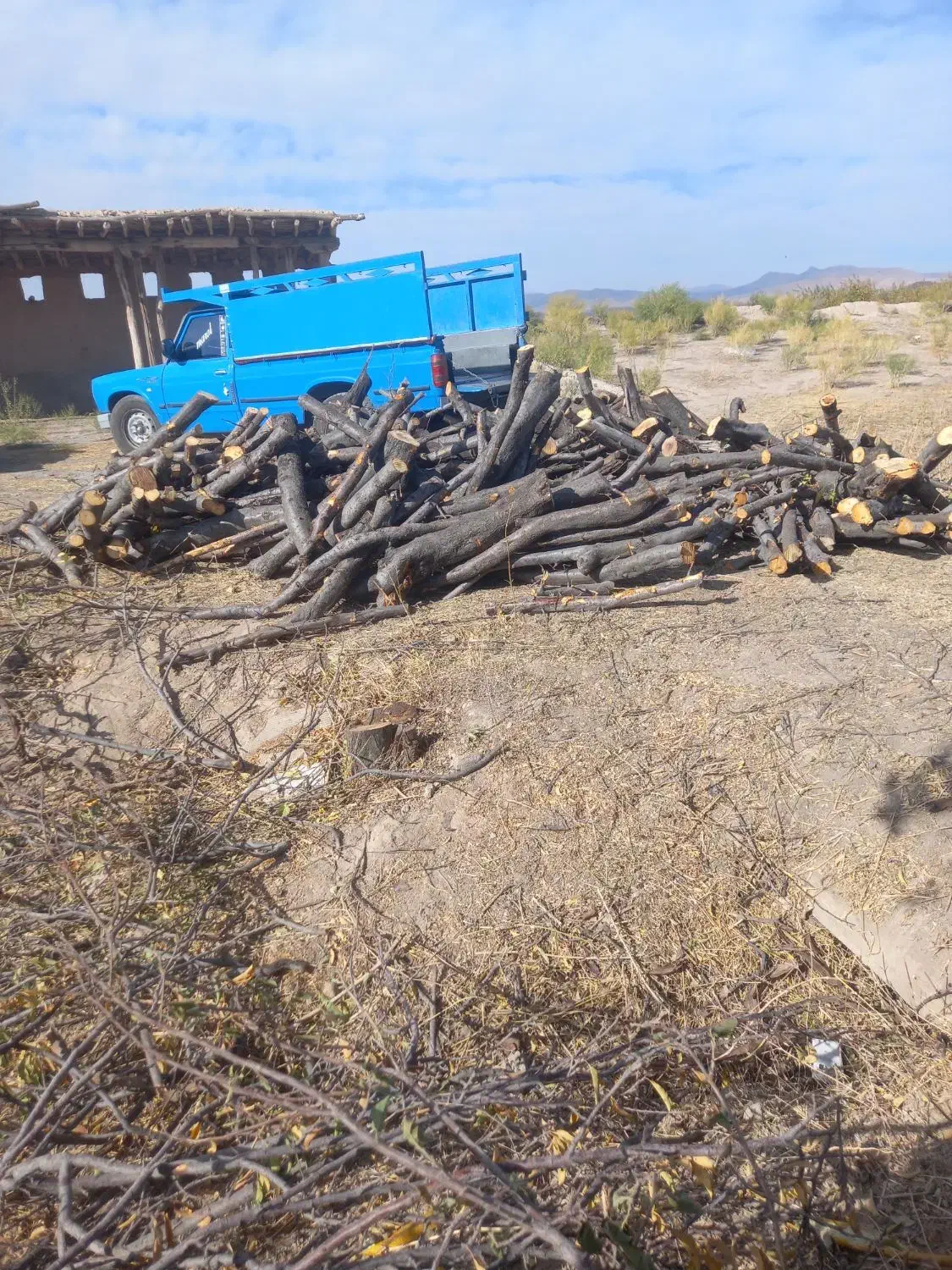 خرید نقدی چوب|خدمات باغبانی و درختکاری|مراغه, |دیوار