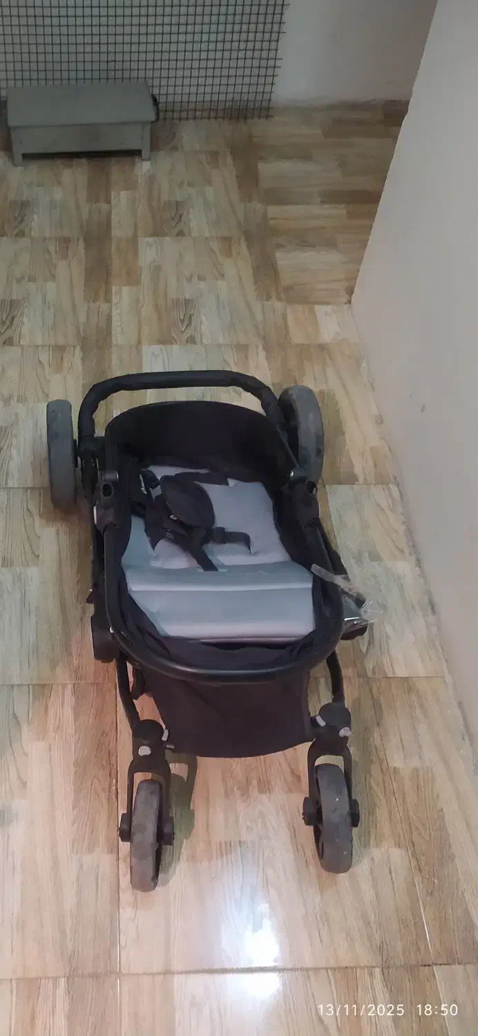 کالسکه|کالسکه و لوازم جانبی|شاهین‌شهر, خانه کارگر|دیوار