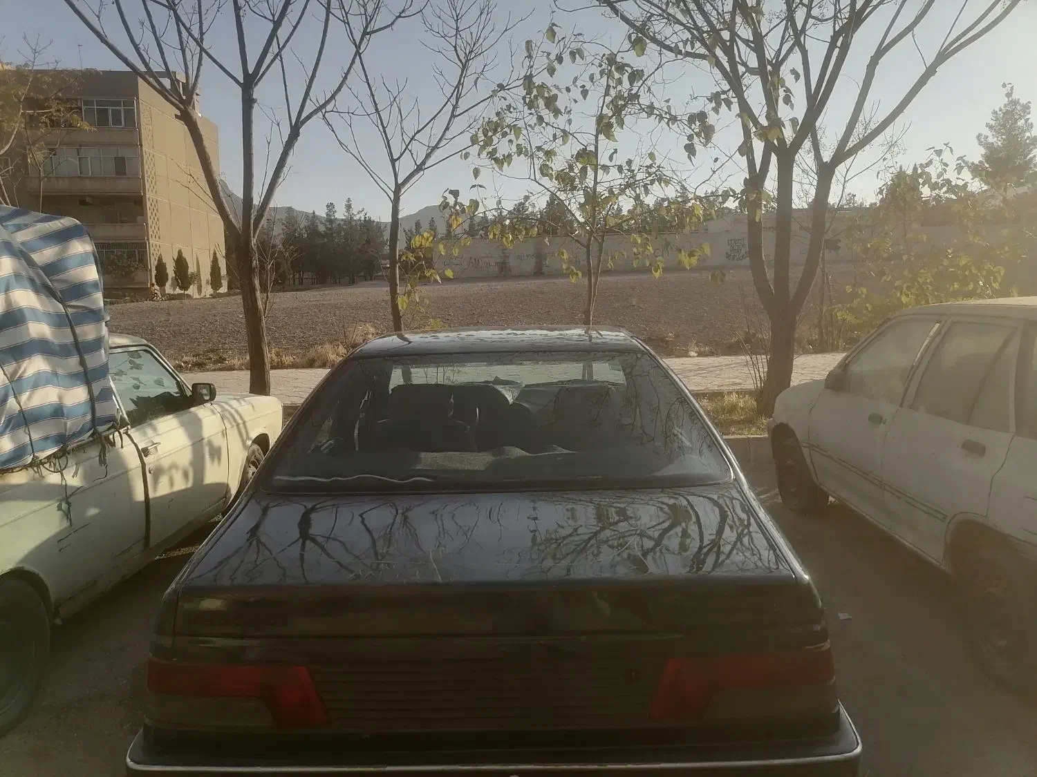 پژو آردی مدل 81 کاربرات|خودرو سواری و وانت|فولادشهر, B2|دیوار