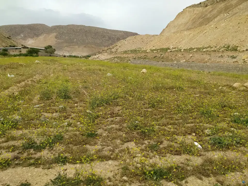 تصویر 5