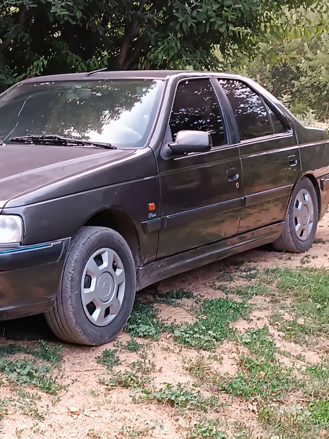 پژو پارس سال|خودرو سواری و وانت|شیراز, شهرک گلستان|دیوار