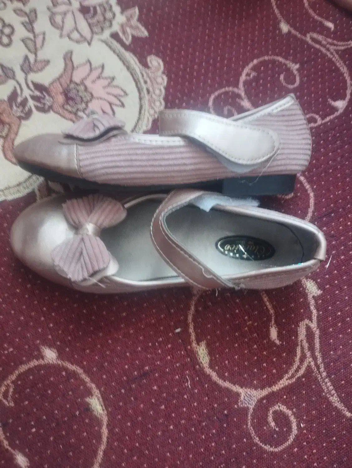 کفش|کیف، کفش، کمربند|کرمان, |دیوار