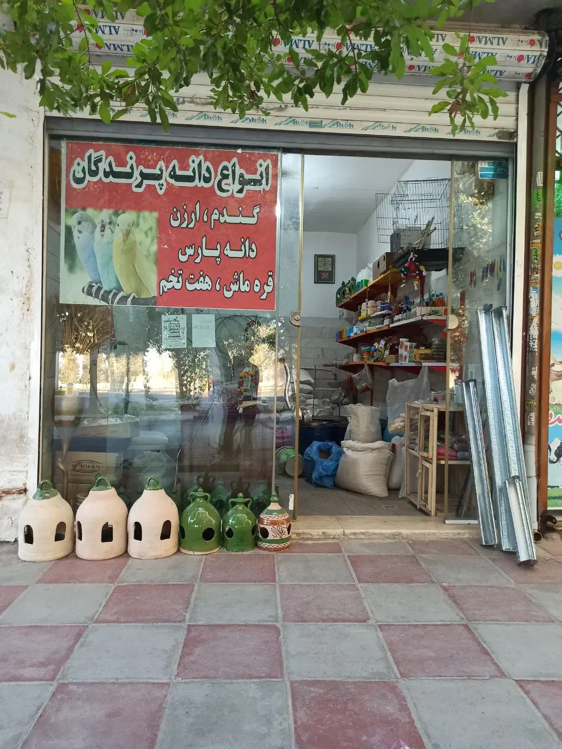 انواع دانه و ملزومات پرندگان کفتر عروس هلندی و...|لوازم جانبی حیوانات|ورامین, ورامین|دیوار