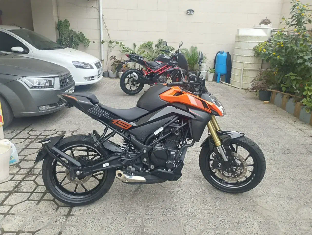 کی وی250. CF ns RS نه بلنتا بنلی زونتس 300 200 ریس|موتورسیکلت|رشت, فلسطین|دیوار