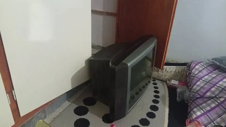 تلویزیون 29و14|تلویزیون و پروژکتور|بوشهر, |دیوار