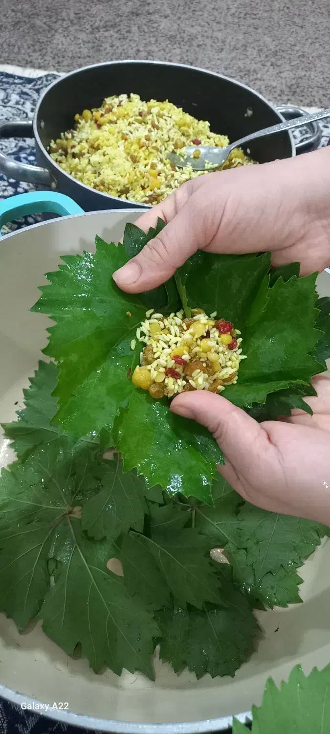 دلمه برگ انگور|خوردنی و آشامیدنی|اهواز, فاز ۲ پادادشهر|دیوار