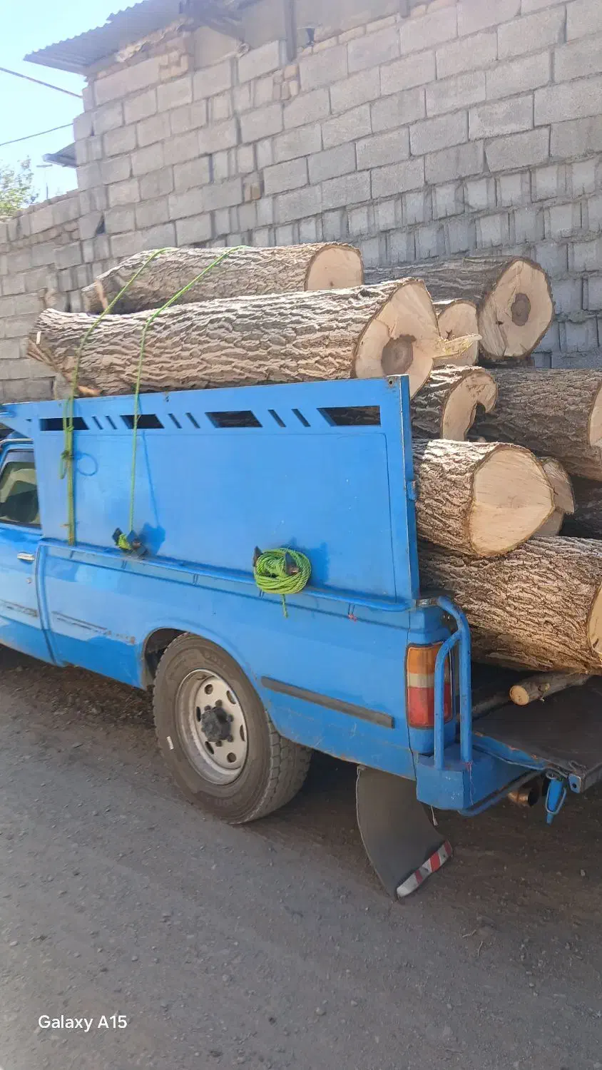 خرید چوب|خدمات باغبانی و درختکاری|ملایر, |دیوار