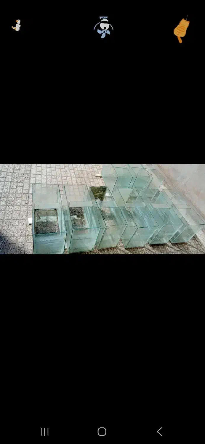 آکواریوم ۶ میل|ماهی|نیشابور, شهرک بهداری|دیوار