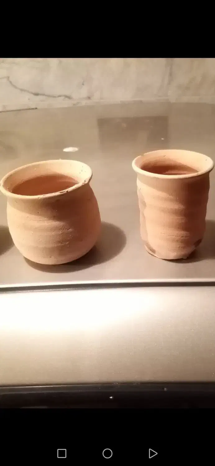 بوقلمون رسمی|حیوانات مزرعه|رودهن, |دیوار