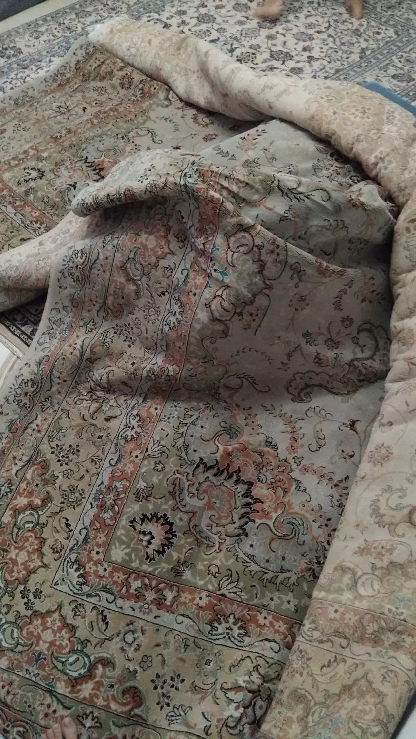 فرش ماشینی ۱۲ متری|فرش|کیش, |دیوار