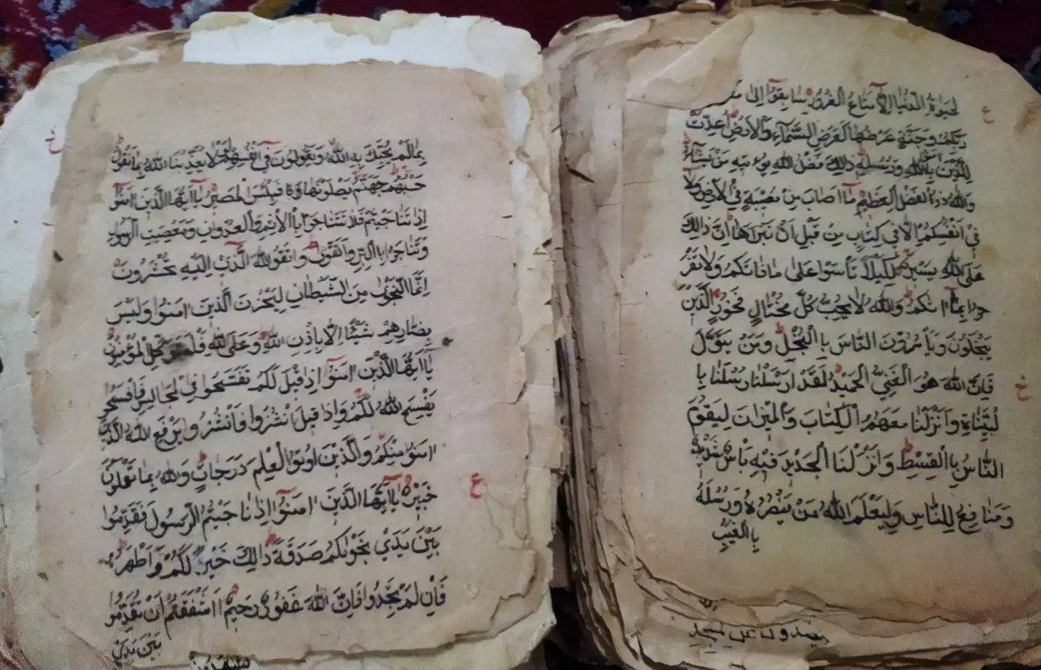 عتیقه|کلکسیون اشیاء عتیقه|گافر و پارمون, |دیوار