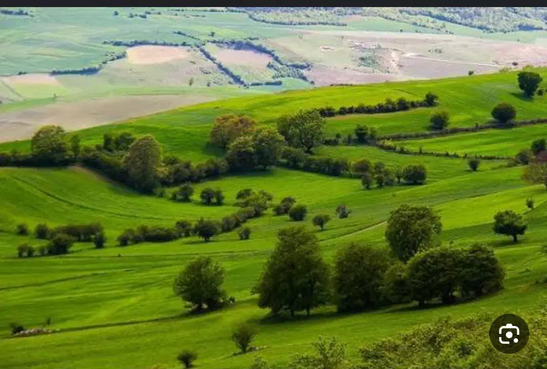 زمین|فروش زمین و ملک کلنگی|سردرود, |دیوار