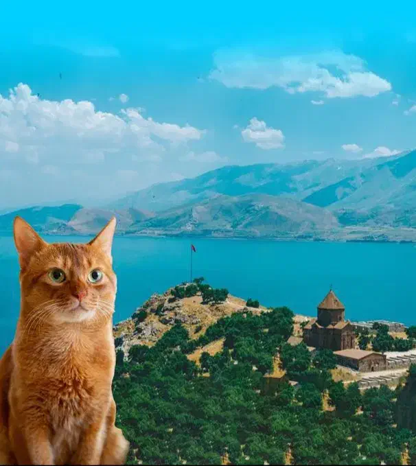 تور زمینی وان جهت انجام خدمات و اتصال به اینترنت|تور و چارتر|تهران, شهرک آزمایش|دیوار