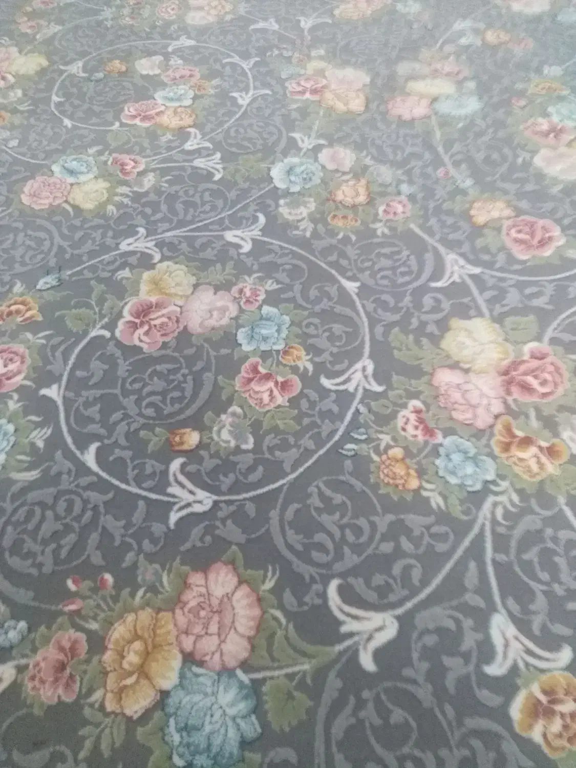 فرش|فرش|شیروان (خراسان), |دیوار