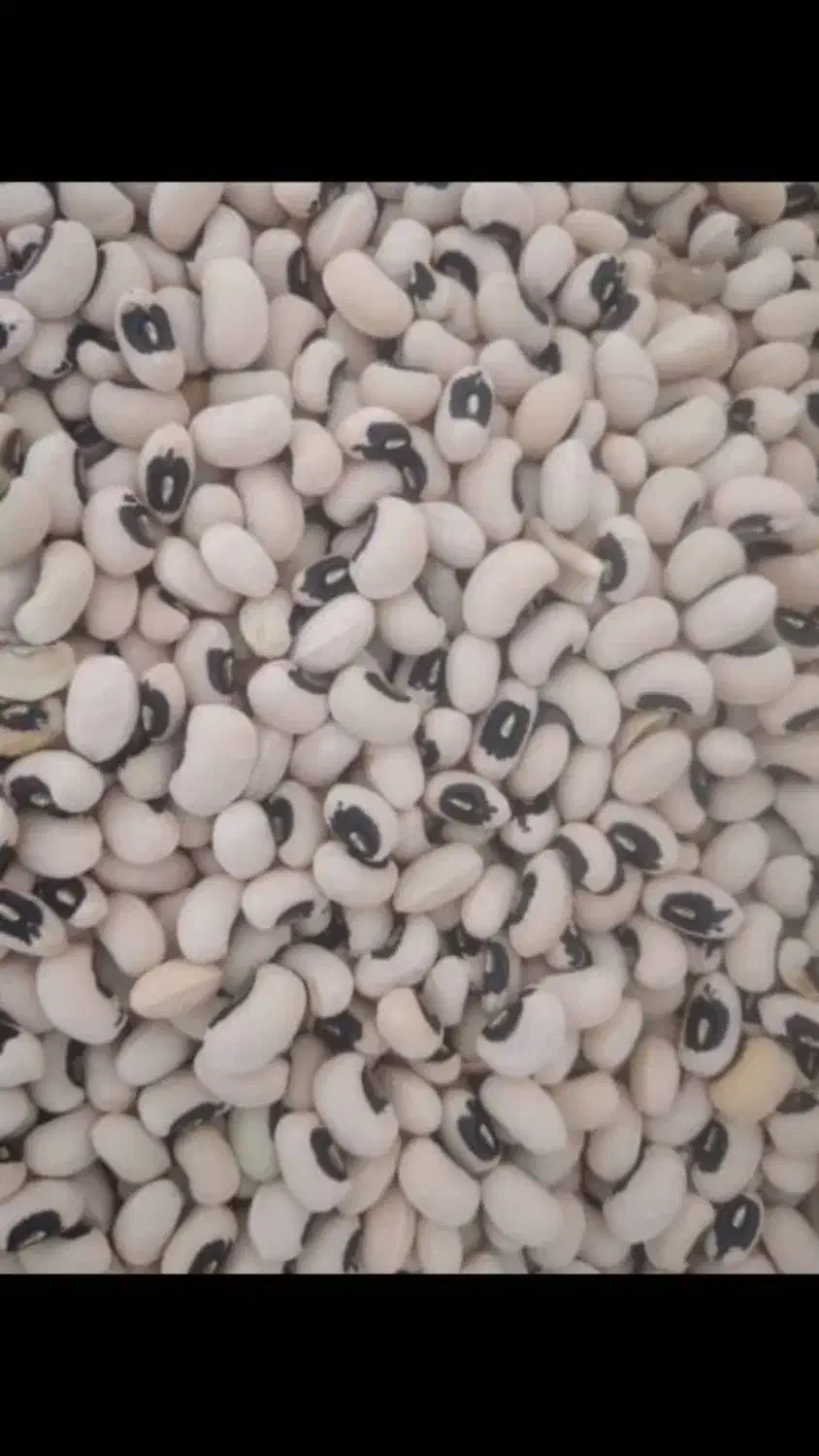 لوبیا چش بلبلی محلی|خوردنی و آشامیدنی|رستم, |دیوار