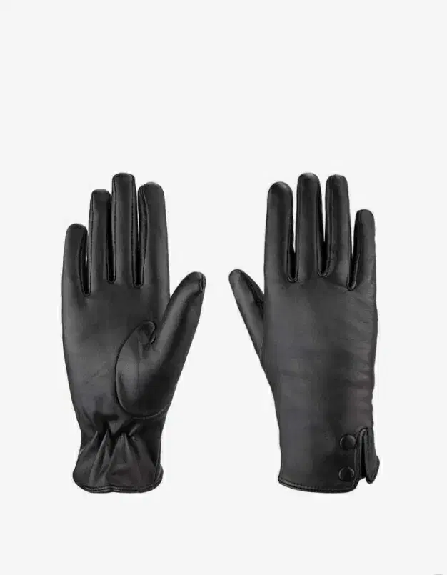 دستکش چرم مشهد سایز بندی|لباس|مشهد, کارمندان دوم|دیوار