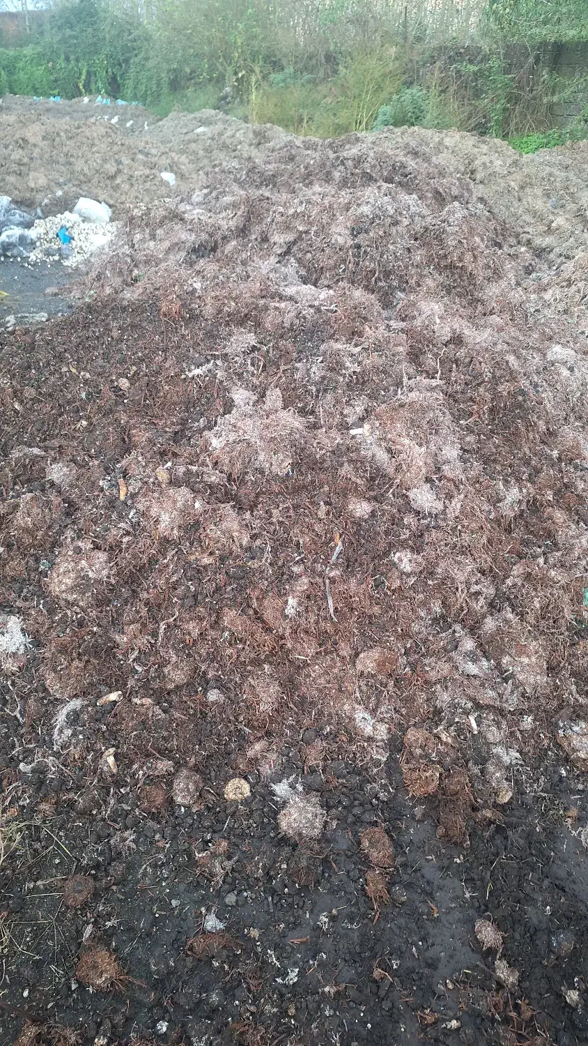 کود چرب کمپوست|خدمات باغبانی و درختکاری|بندر انزلی, چهارفریضه|دیوار