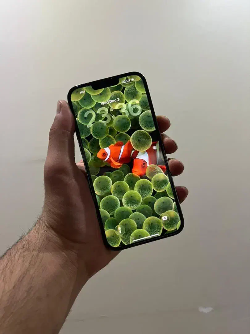 آیفون 13promax|موبایل|تبریز, |دیوار