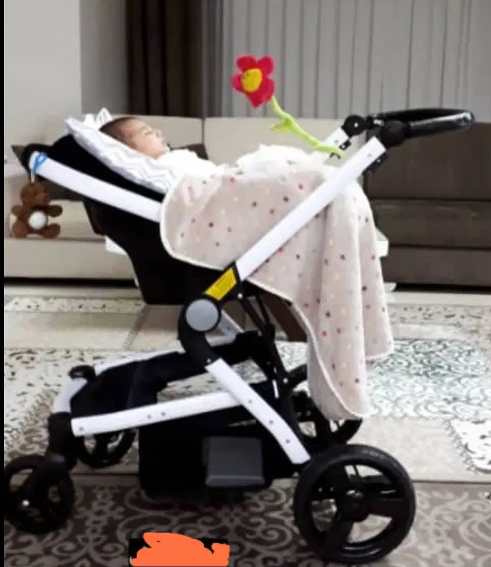 کالسکه|کالسکه و لوازم جانبی|نهاوند, |دیوار