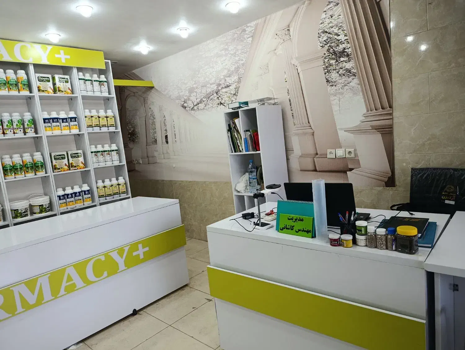 استخدام منشی.حقوق ثابت با بیمه|استخدام بازاریابی و فروش|سوسنگرد, |دیوار