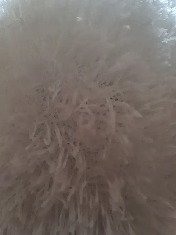 0832 858 0912|سیمکارت|کرمانشاه, |دیوار