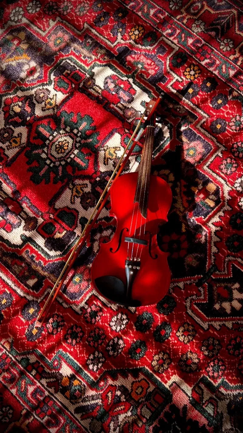 فرش دستبافت قدیمی|فرش|مشهد, راهنمایی|دیوار