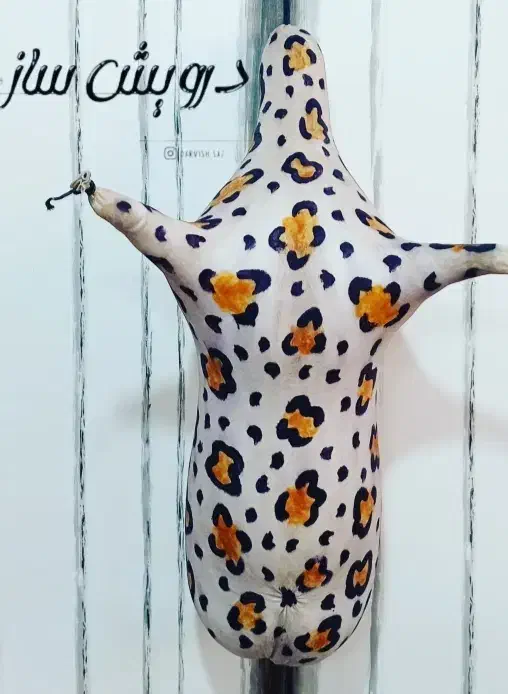 ببری|سازهای بادی|شیراز, حومه شیراز|دیوار