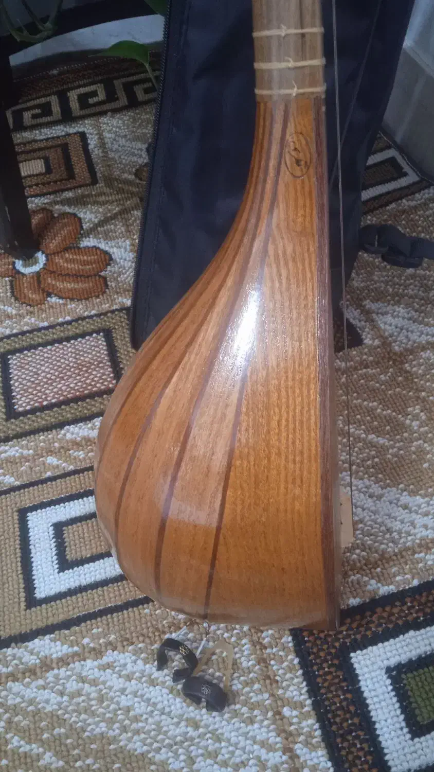 سه تار|سازهای سنتی|ازنا, |دیوار