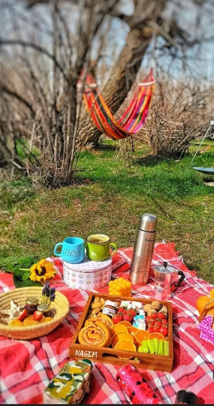 راهنمایی تور تبریز|فعالیت داوطلبانه تحقیقاتی|تبریز, |دیوار