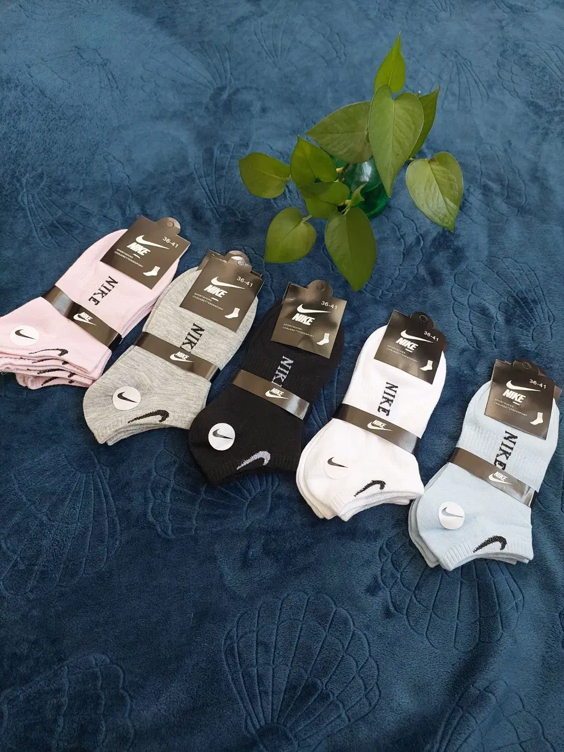 جوراب عمده|لباس|شیراز, شهرک قمشه|دیوار