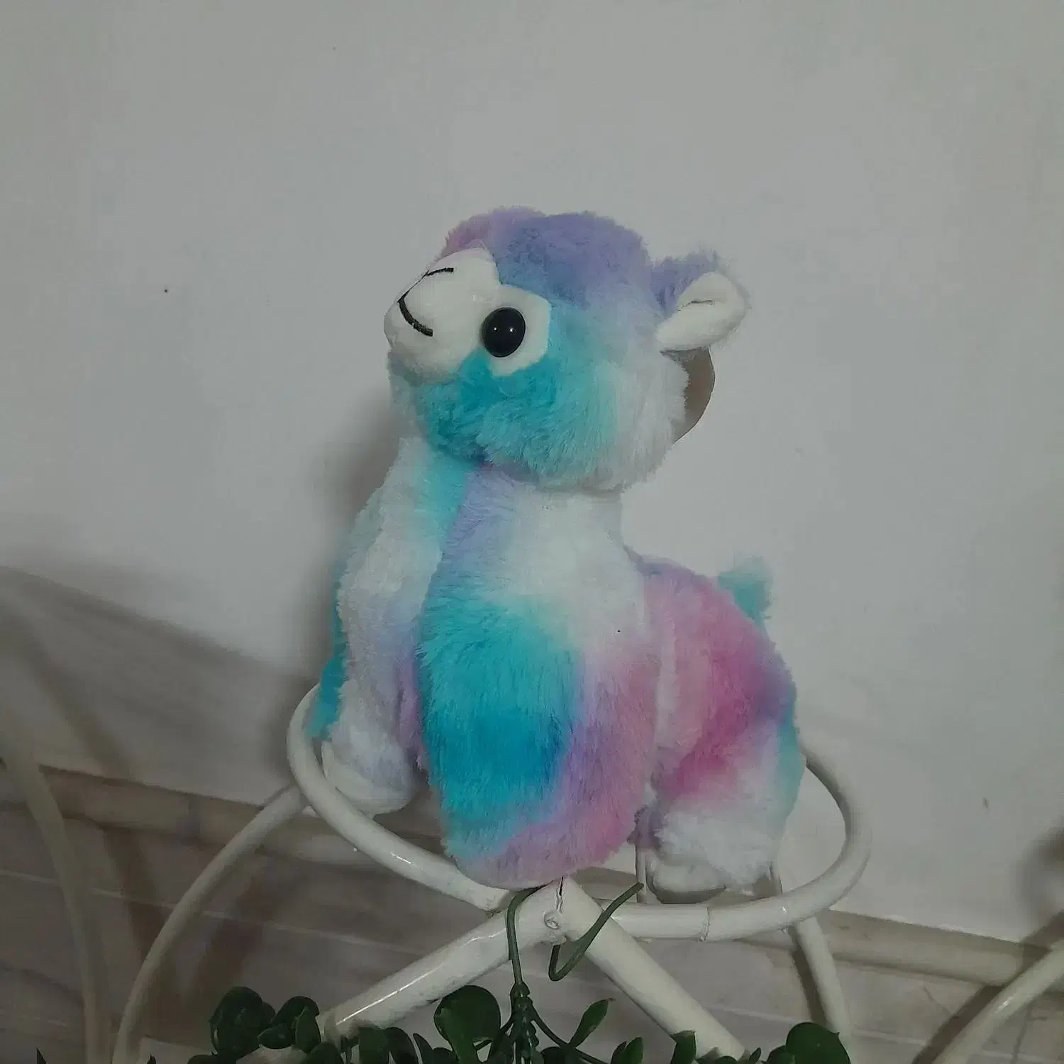 همگی نو هستن|اسباب‌بازی بچه|ساوه, |دیوار