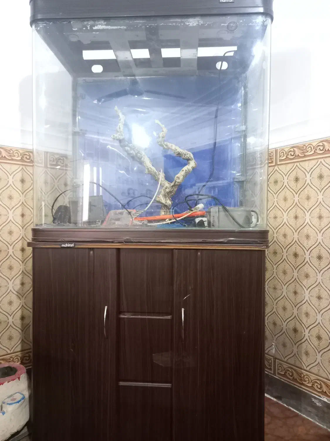 آکواریوم ماهیران|ماهی|امیدیه, |دیوار