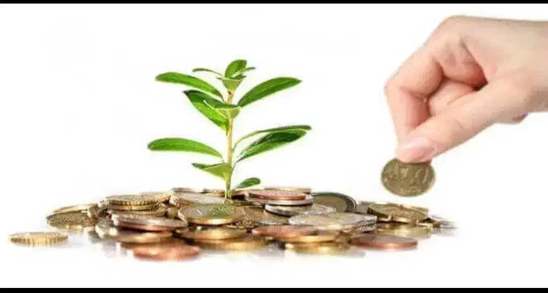 پرداخت سرمایه|استخدام مالی، حسابداری، حقوقی|مشهد, چهارچشمه|دیوار