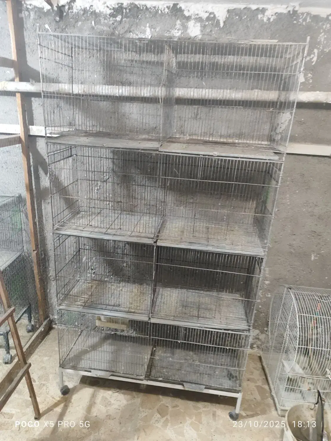 قفس پرون|لوازم جانبی حیوانات|تنکابن, |دیوار