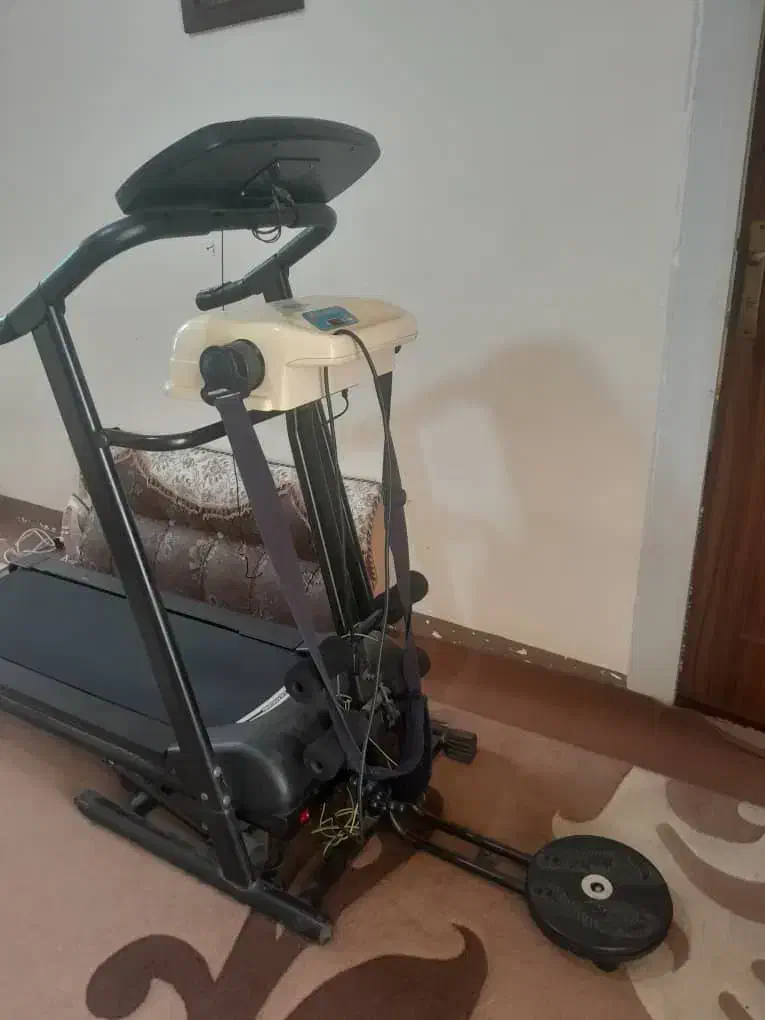 تجهیزات ورزشیف|تجهیزات ورزشی|مرودشت, گندم‎|دیوار