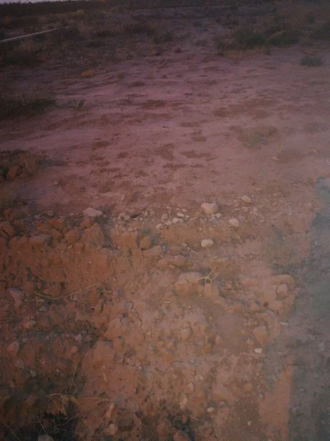 فروش زمین کارگاهی و غیره سروستان|فروش زمین و ملک کلنگی|سروستان, |دیوار