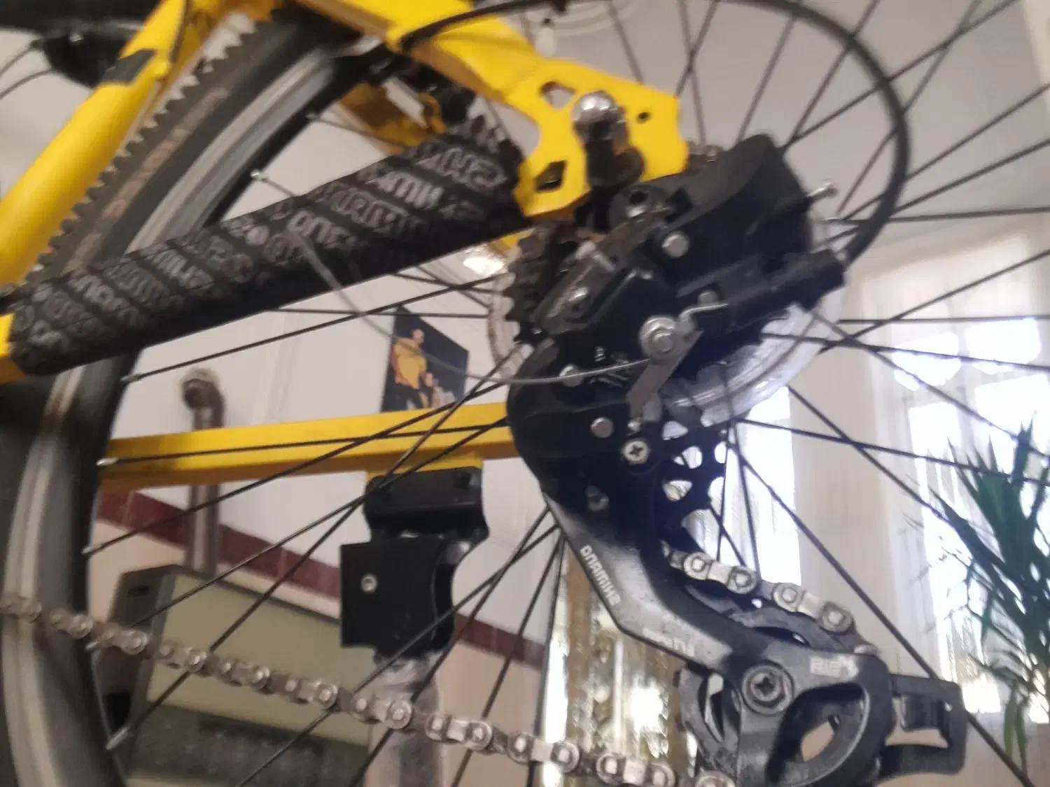 دوچرخه ۲۶ مارکه راش|دوچرخه، اسکیت، اسکوتر|صحنه, |دیوار