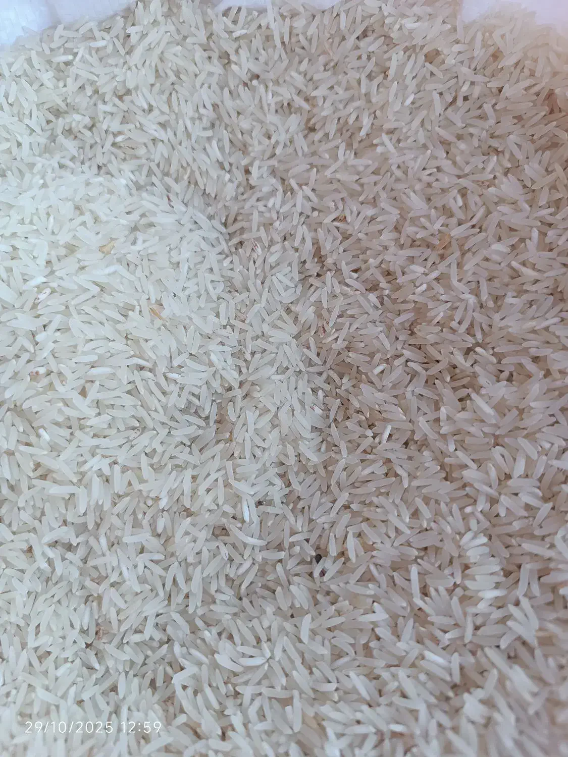 برنج  فجر سوزنی 90روزه|خوردنی و آشامیدنی|خان ببین, |دیوار