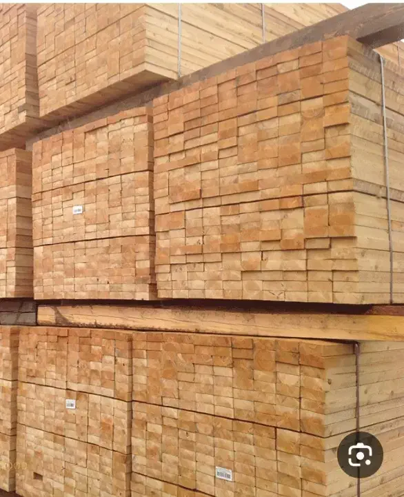 فروش عمده چوب سربندی نراد|مصالح و تجهیزات ساختمان|رشت, نظری|دیوار