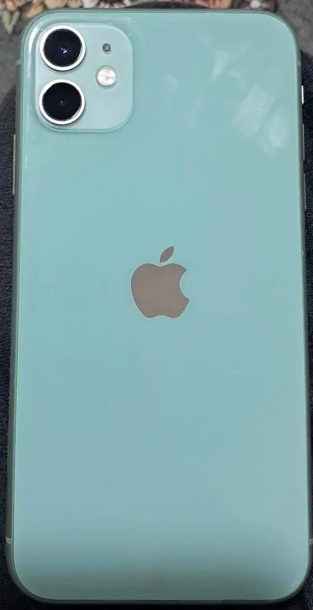 ایفون ۱۱نرمال|موبایل|بندرعباس, |دیوار