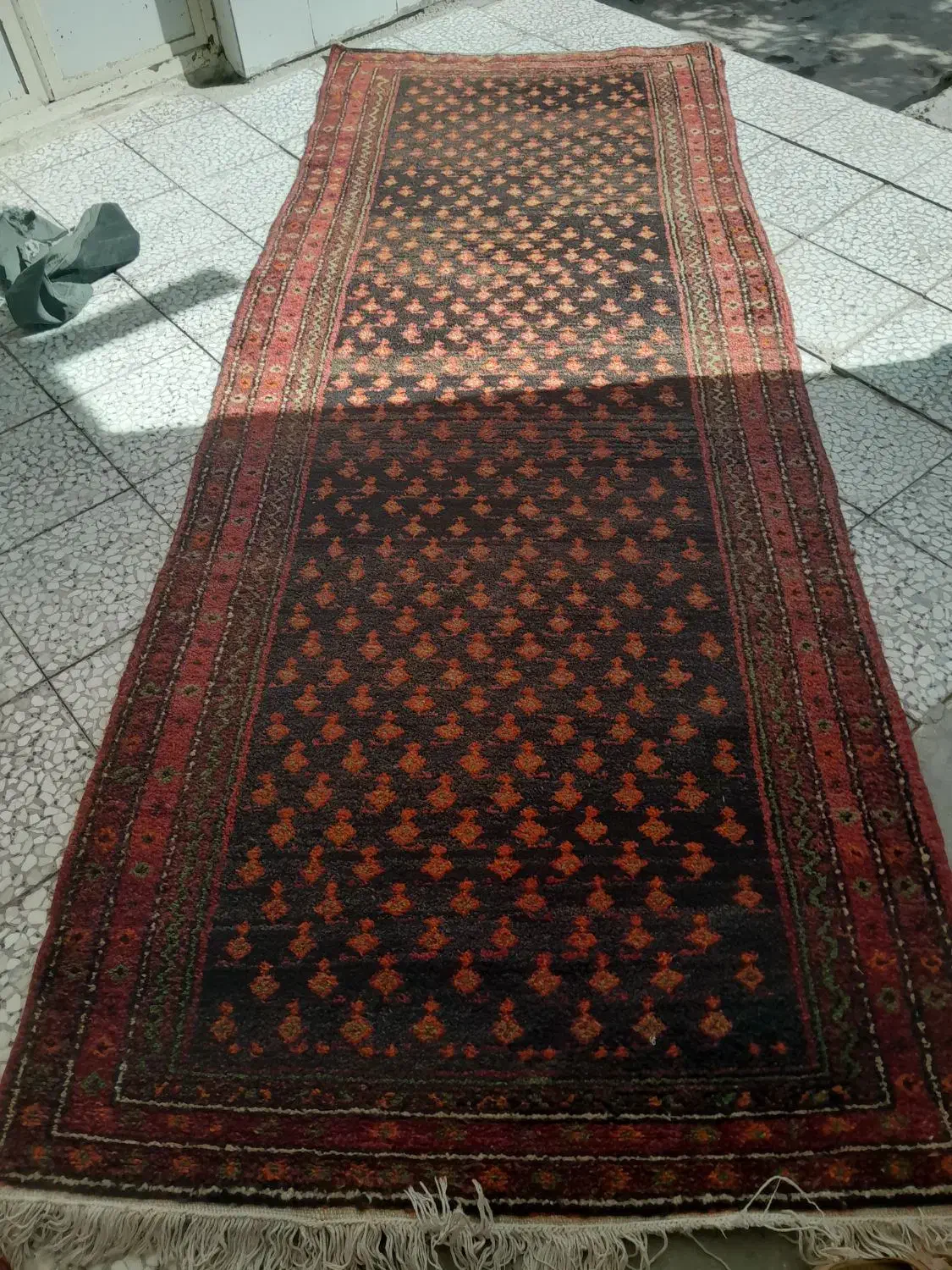 فرش دست پافت عتیقه|فرش|شهریار, شهریار|دیوار