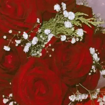 باسلام|سایر لوازم برقی|مشهد, شفا|دیوار