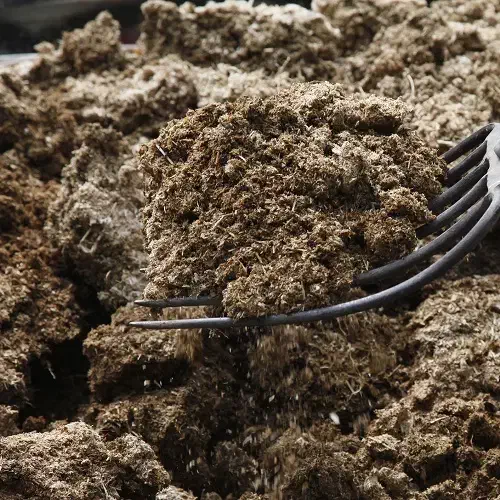 پهن گوسفندی پنج ساله خشک|خدمات باغبانی و درختکاری|نوشین شهر, |دیوار