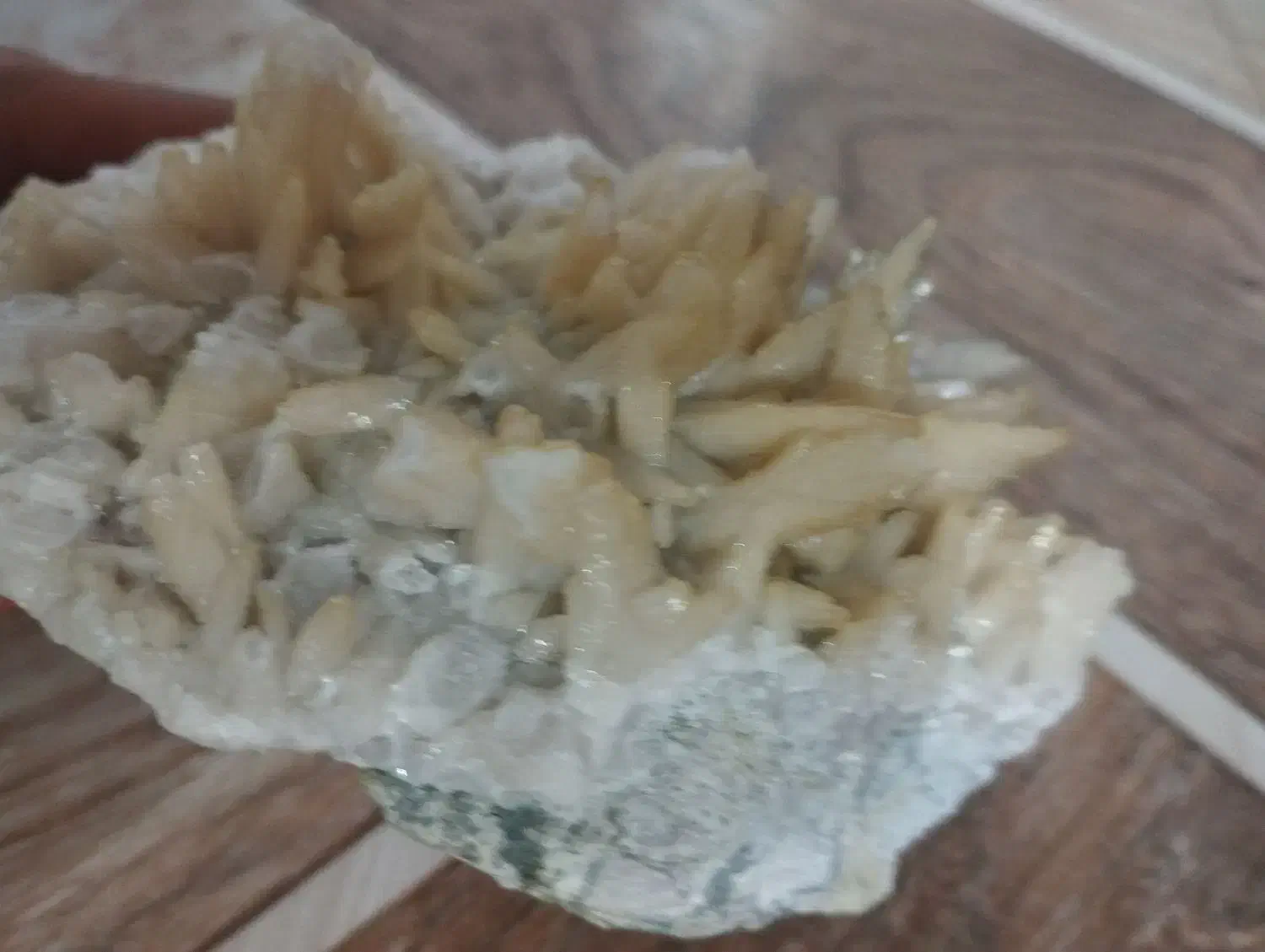 سنگ تزیینی|صنایع دستی و سایر لوازم تزئینی|تربتحیدریه, کلاته توکلی|دیوار