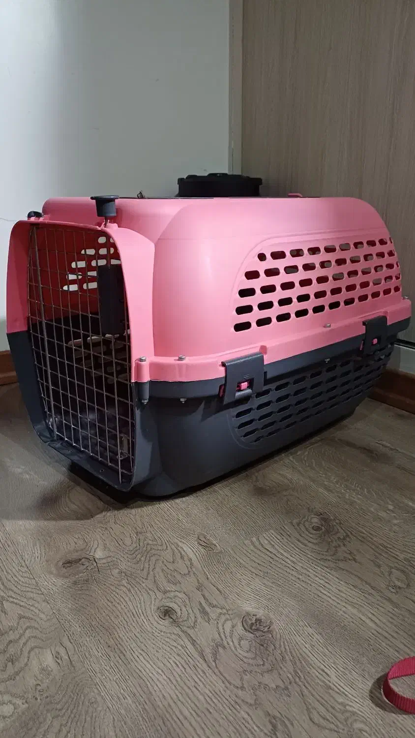 لوازم های  سگ در حد نو نو|لوازم جانبی حیوانات|تهران, مولوی|دیوار