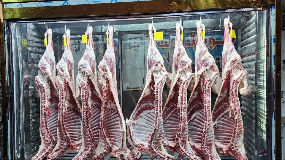 پخش گوشت مرغ رستورانی تالار شرکتی تهران و حومه|عمدهفروشی|تهران, دهم فروردین|دیوار