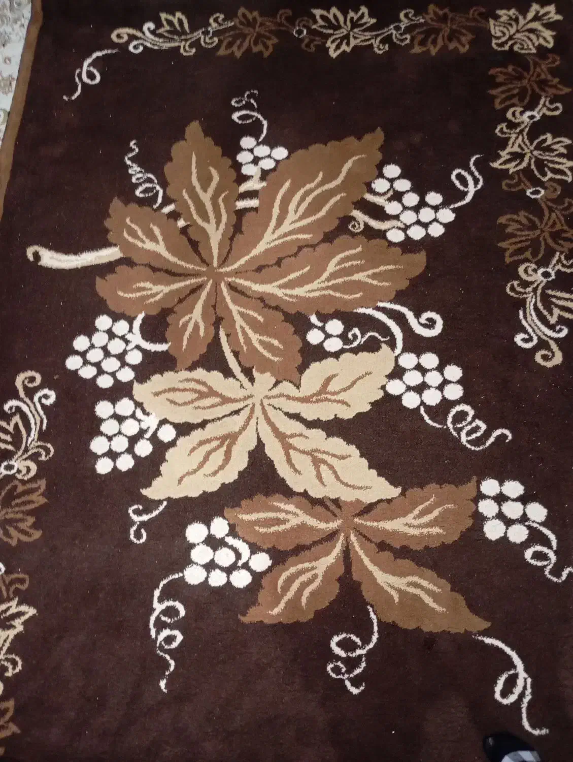 خانه و اشپزخانه|فرش|بندر انزلی, کلیور|دیوار