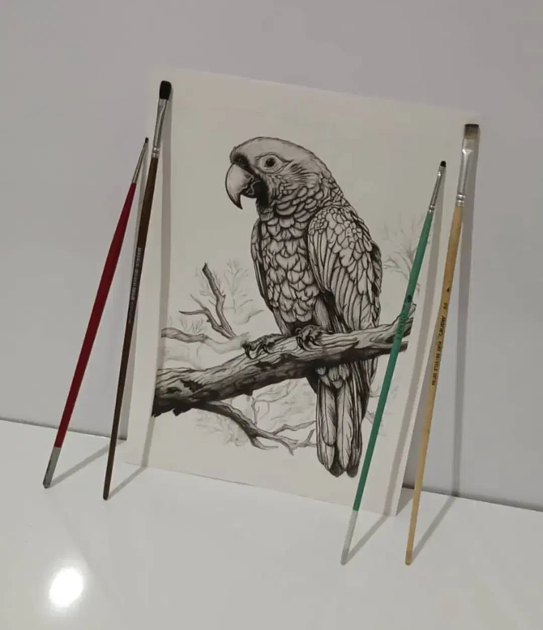 طراحی سیاه قلم حرفه ای|تابلو، نقاشی، عکس|بندر کنگان, |دیوار