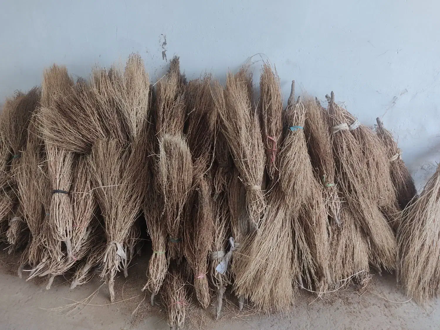 ج ا ر و قیمت مناسب|لوازم نظافت|نیشابور, بنیاد شهید|دیوار