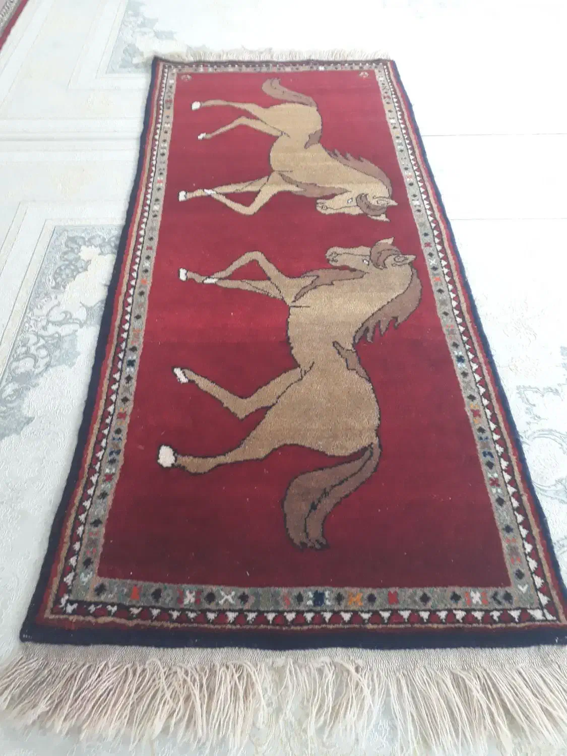 فرش دستبافت پشم در پشم|فرش|رامسر, |دیوار